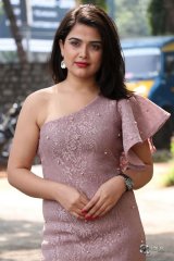 Ayesha Singh at Yedu Chepala Katha Movie Prees Meet